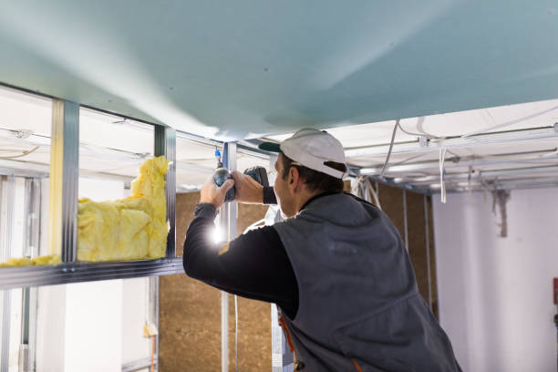 Best Soundproof Insulation Installation  in Rural Hall, NC
