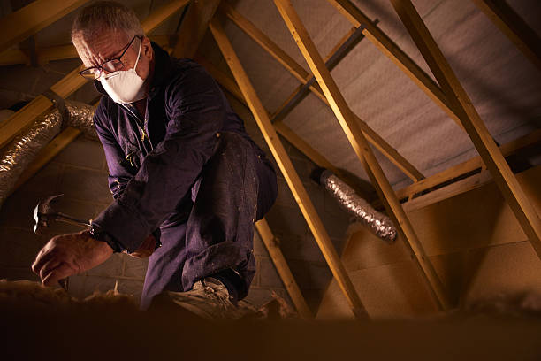 Best Professional Insulation Contractor  in Rural Hall, NC