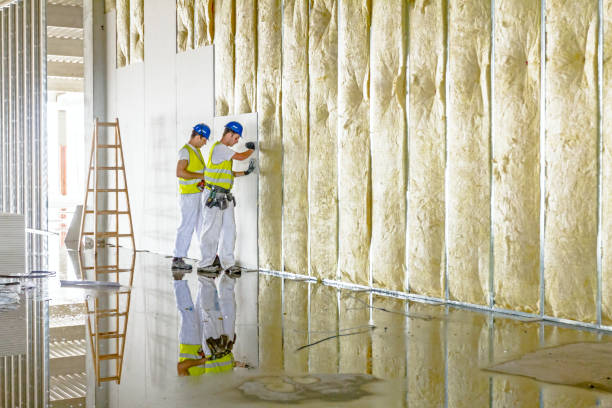 Best Insulation Replacement Services  in Rural Hall, NC
